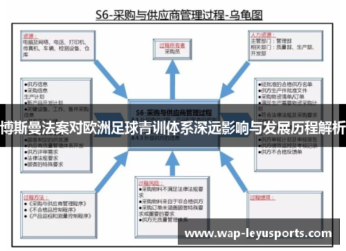 博斯曼法案对欧洲足球青训体系深远影响与发展历程解析 博斯曼法案对欧洲足球青训体系深远影响与发展历程解析