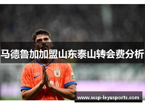 马德鲁加加盟山东泰山转会费分析
