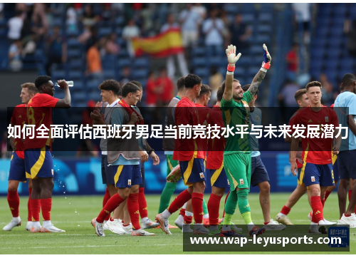 如何全面评估西班牙男足当前竞技水平与未来发展潜力