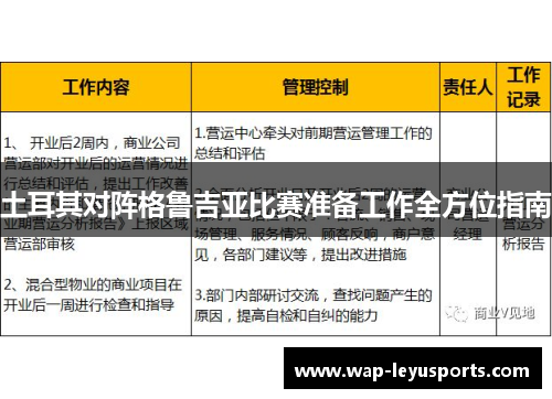 土耳其对阵格鲁吉亚比赛准备工作全方位指南