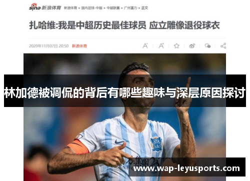 林加德被调侃的背后有哪些趣味与深层原因探讨 林加德被调侃的背后有哪些趣味与深层原因探讨