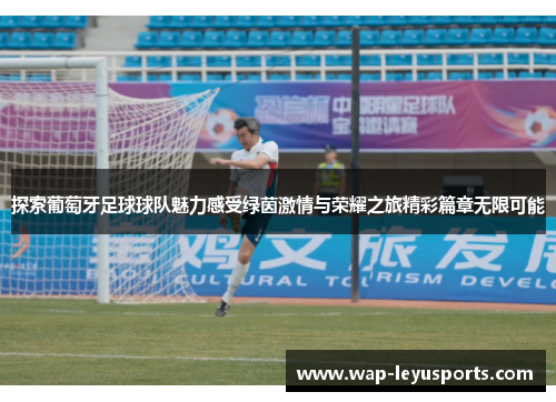 探索葡萄牙足球球队魅力感受绿茵激情与荣耀之旅精彩篇章无限可能